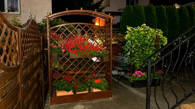 Pergola z kwiatami wieczorem