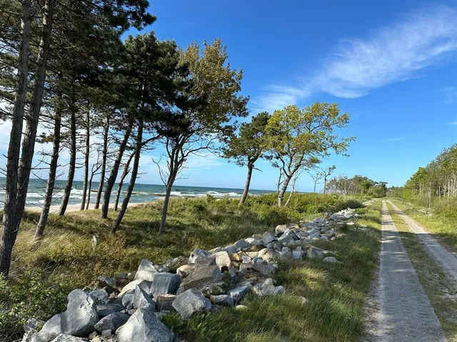 Trasa rowerowa do Wicia — plaża wśród sosen